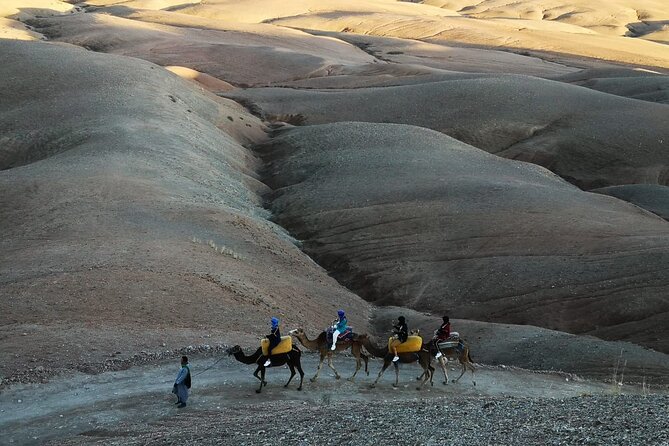 Agafay Desert Sunset Camel Ride With Dinner and Show From Marrakech - Last Words