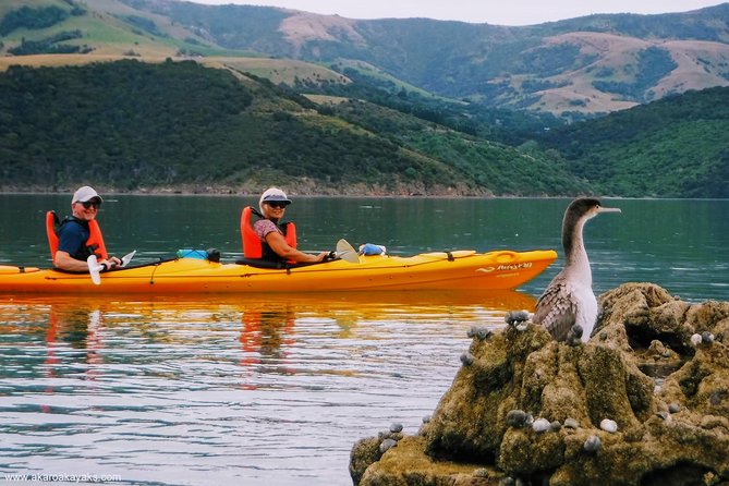 Akaroa Day Trip From Lyttelton Port - Return Shuttle Sea Kayak or Ebike Tour - Lowest Price Guarantee