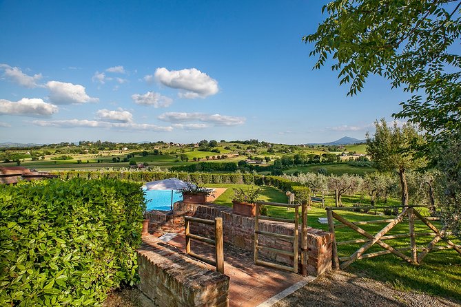 Al Fresco Lunch and Wine Tasting Under the Olive Trees  - Montepulciano - Last Words