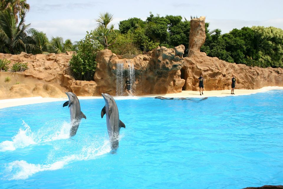 Alanya Dolphin Show Tour - Sealanya Dolphinpark - Swim With Dolphins Option