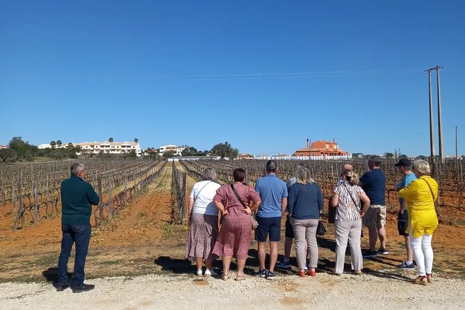 Albufeira Tour: Winery Wine and Tapas Boards - Albufeira Tour Booking Details