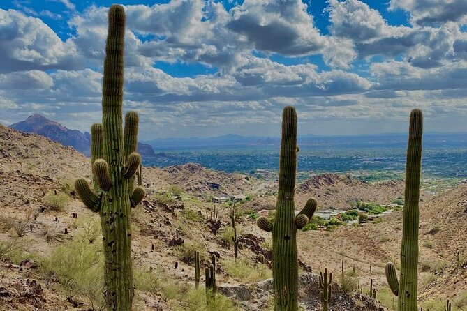 Amazing 2-Hour Guided Hiking Adventure in the Sonoran Desert - Common questions
