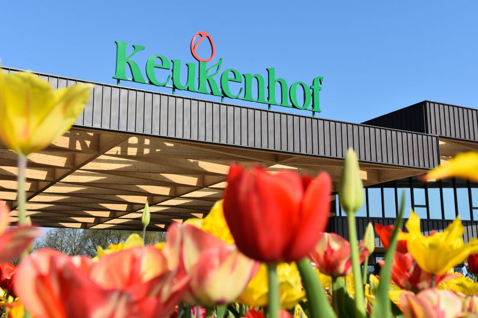 Amsterdam: Keukenhof & Tulip Experience Live Guided Day Tour - Common questions
