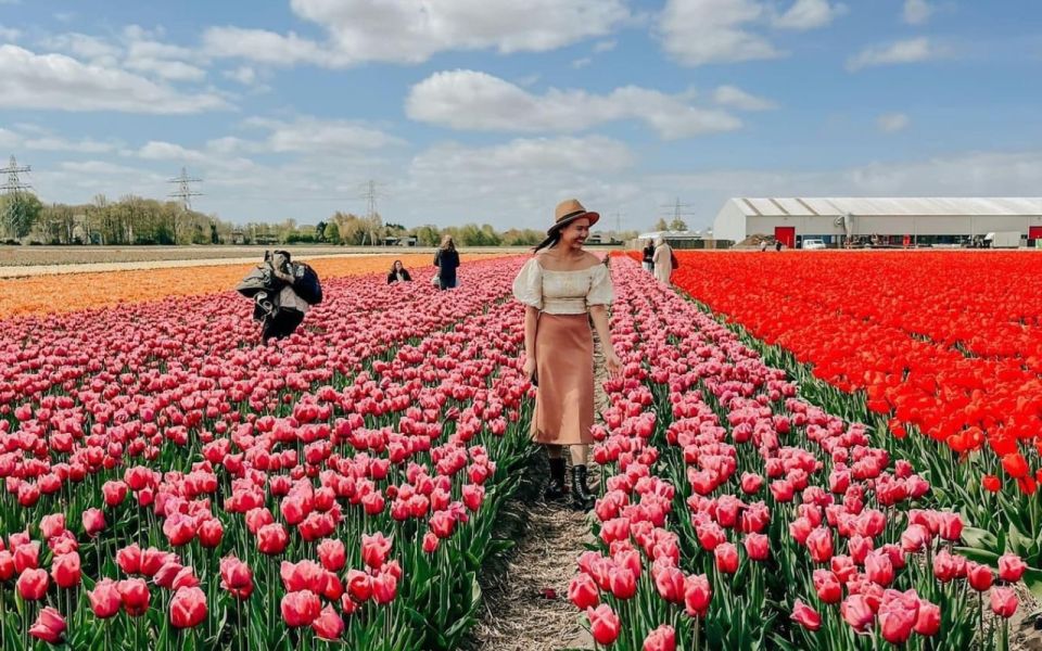 Amsterdam: Keukenhof, Tulip Farm Full-Day Tour With Cruise - Last Words