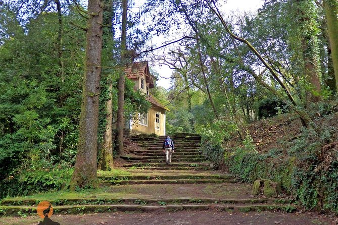 An Adventure Through the Forest and Palace of Bussaco - Coimbra - Enriching Experience