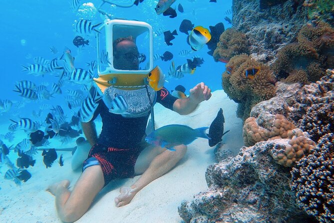 Aqua Safari Introductory Helmet Dive (Underwater Walk) - Common questions