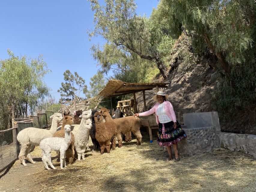 Arequipa: Experiential Textile Tourist Center - Last Words