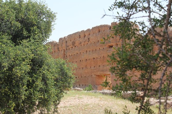 Argan Forest, Tea Time at a Berbers Family & Visit of an Argan Cooperative. - Common questions