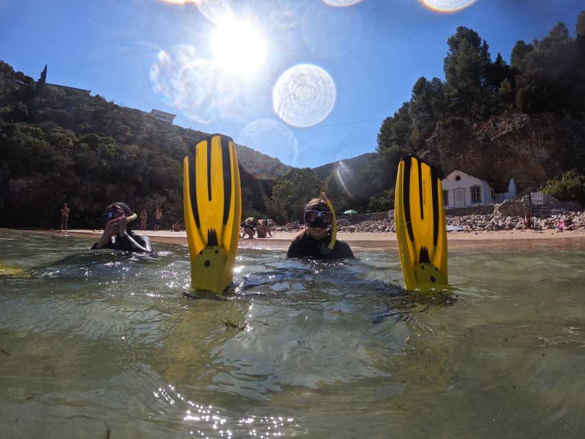 Arrábida: Snorkeling Experience in Arrábida Marine Reserve - Language Options