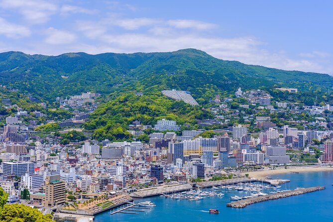 Atami Full-Day Private Tour With Government-Licensed Guide - Last Words