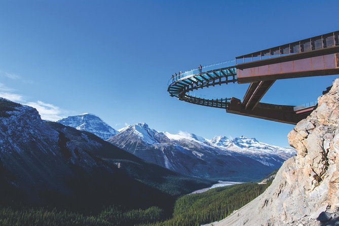 Athabasca Glacier Snow Trip From Banff - Wildlife Spotting and Mountain Picnic