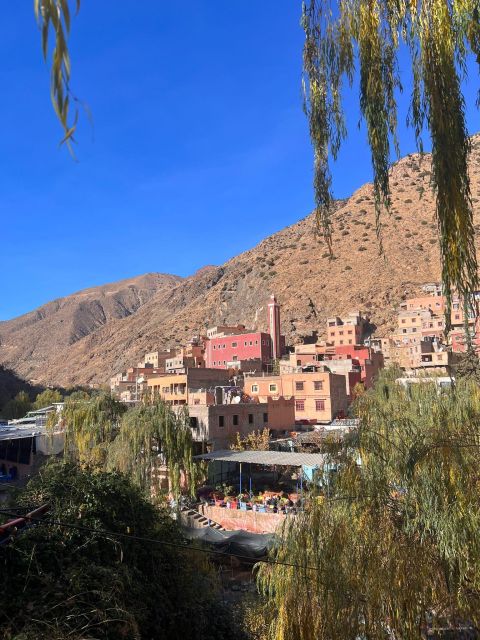 Atlas Mountains and Ourika Valley With a Berber Lunch - Common questions