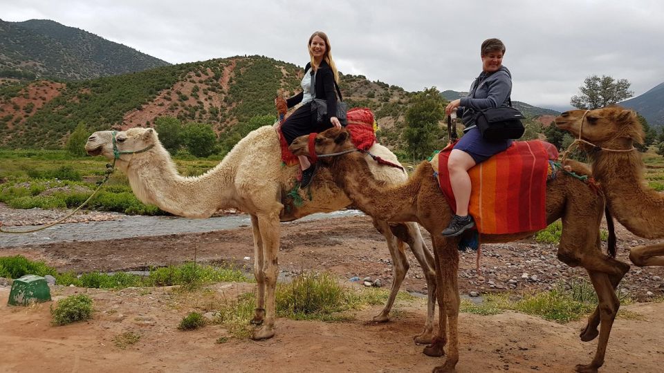 Atlas Mountains and Three Valleys Day Trip With Camel Ride - Additional Information