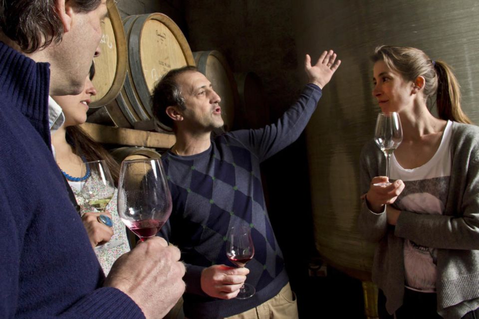 Avignon: Wine Tasting Tour - Last Words