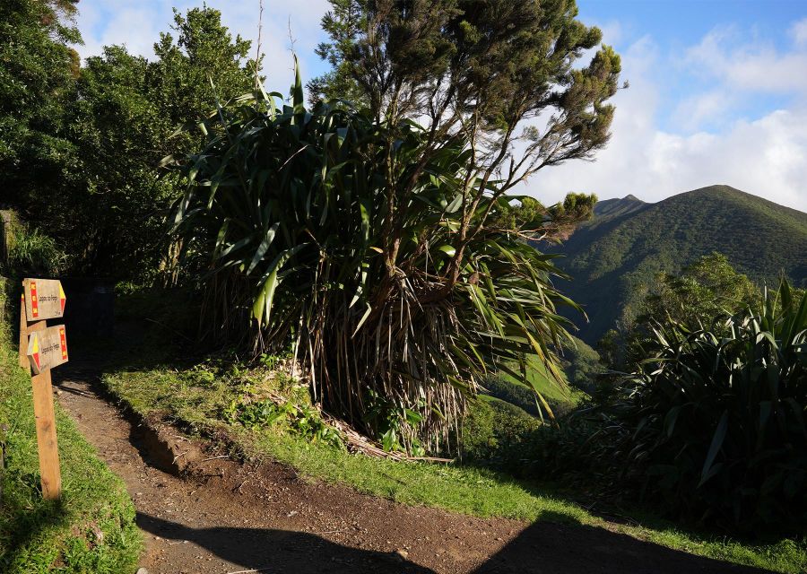 Azores: São Miguel and Lagoa Do Fogo Hiking Trip - Important Reminders