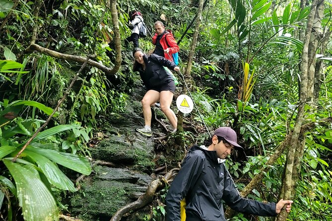 Bach Ma National Park Trekking Daily Tour From Hue - Common questions