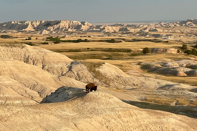 Badlands National Park Private Tour From Rapid City - Customer Support