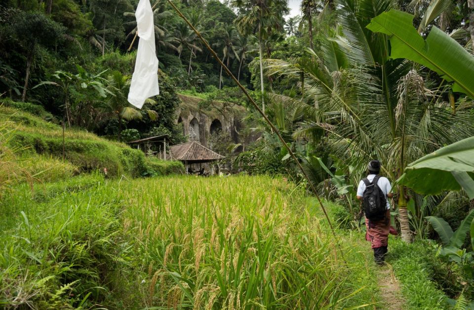 Bali: 6-Hour UNESCO Sites Cultural Walking Tour - Last Words