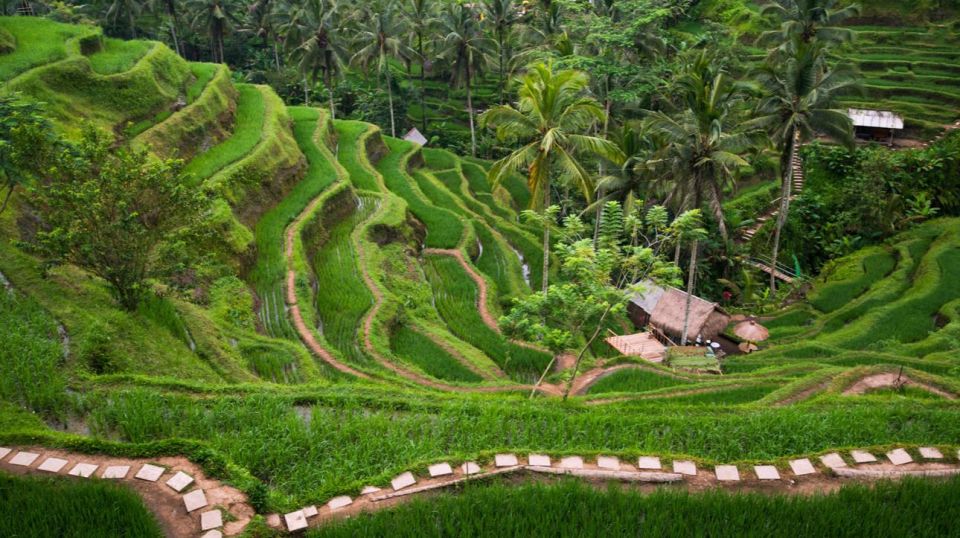 Bali: 8-Hour Ubud Highlights & Tanah Lot Temple Sunset Trip - Last Words