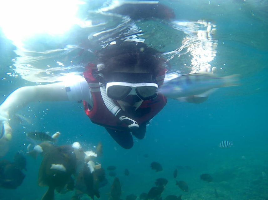 Bali: Blue Lagoon And Tanjung Jepun Snorkeling Trip - Planning Your Trip