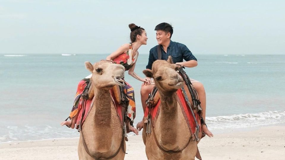 Bali: Kelan Beach Camel Rides Experiences - Last Words