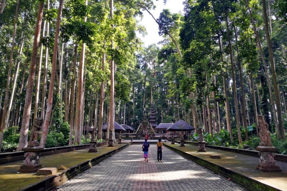 Bali: Monkey Forest, Leke-Leke Waterfall, Unesco Heritage - Tour Last Words