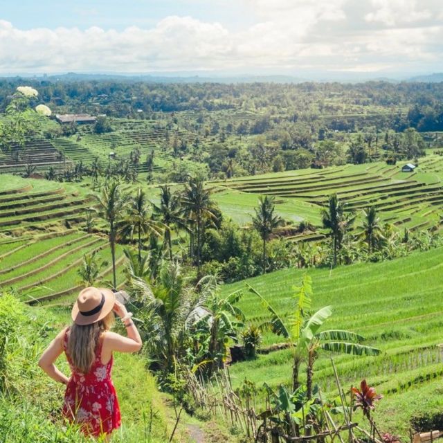 Bali: Northern Bali Private Day Trip With Hotel Transfers - Reserve Now & Pay Later