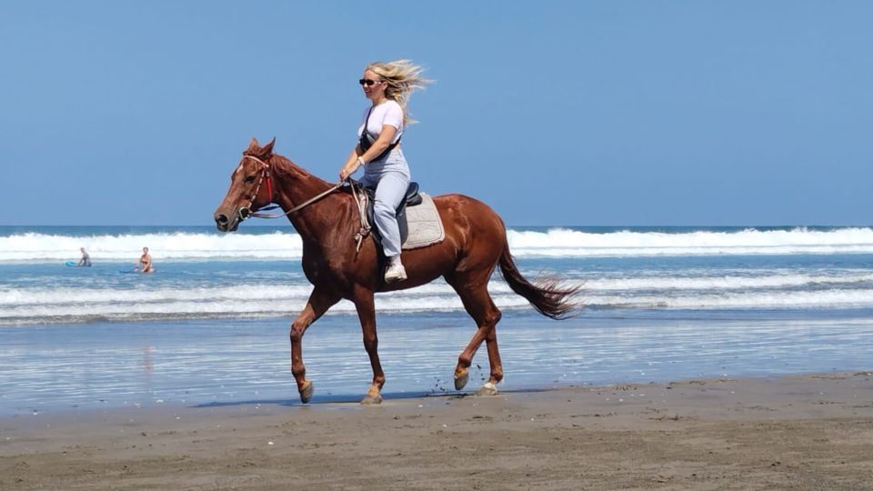 Bali: Seminyak Beach Horse Riding Experience - Last Words