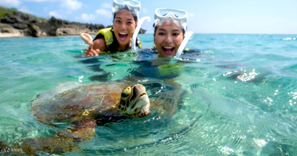 Bali: Snorkeling on 2 Spots With Lunch and Transport - Last Words