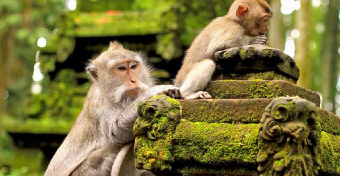 Bali:Ubud Monkey Forest,Rice Terrace,Waterfall & Temple Tour - Last Words