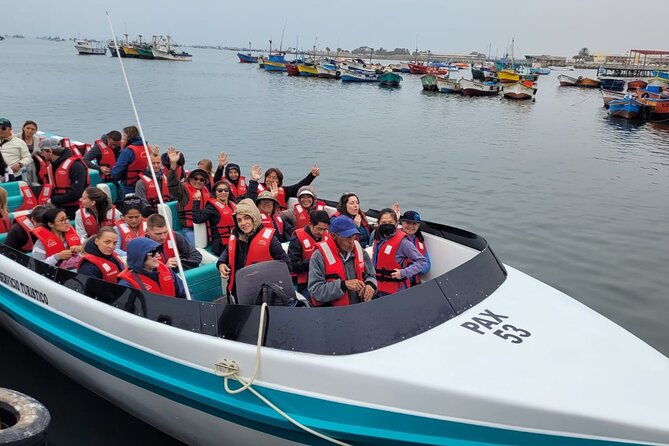 Ballestas Islands, Paracas National Reserve: Full-Day Tour  - Lima - Legal and Booking Details