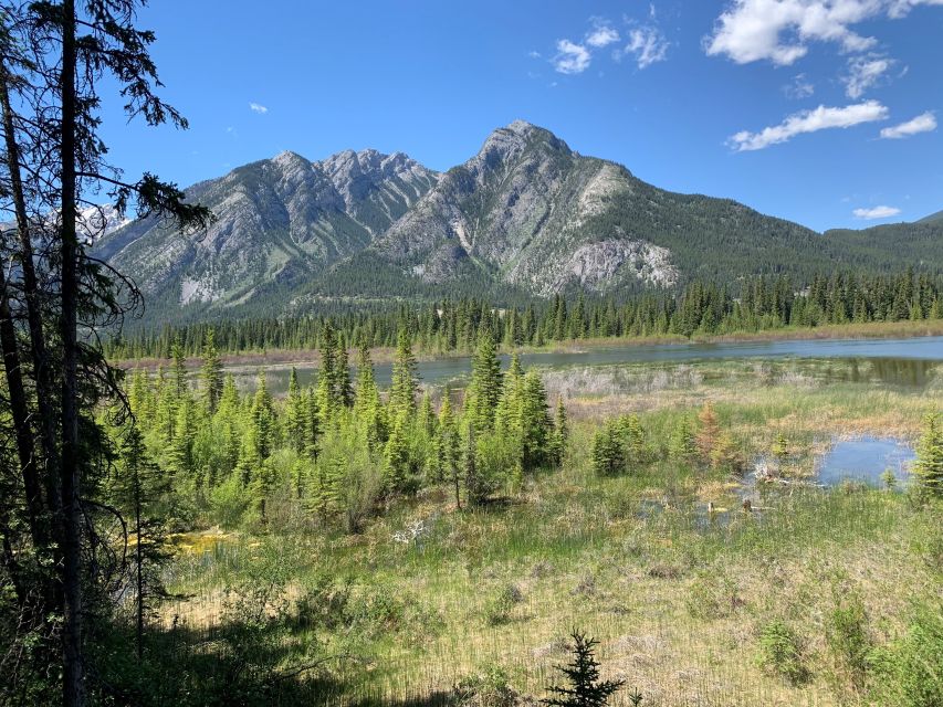 Banff: Best of Banff Nature Walk - 2hrs - Common questions