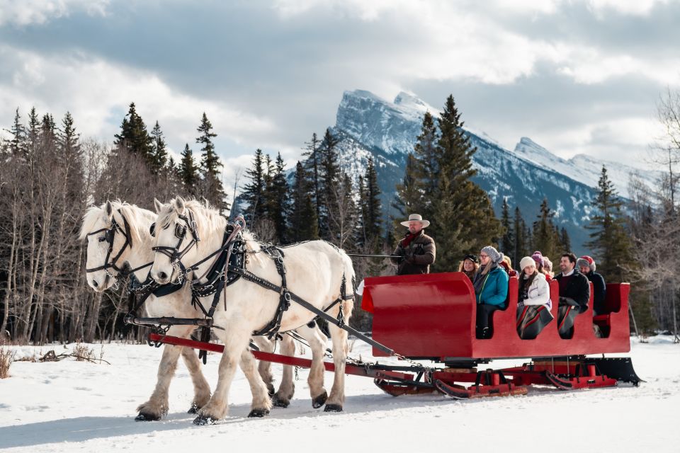 Banff: Family Friendly Horse-Drawn Sleigh Ride - Additional Tips