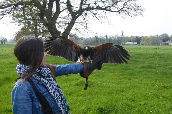 Bath City Tour & Fly a Hawk Experience - Day Tour From Bath - Reviews and Ratings