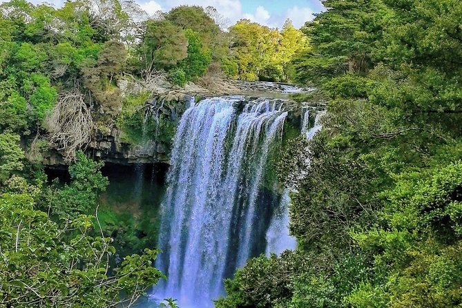 Bay of Islands Half-Day Private Tour - Copyright Notice