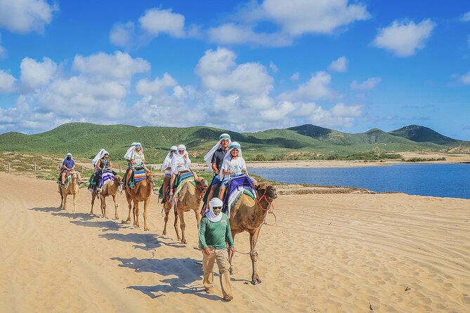 Beach Camel Ride & Encounter in Cabo by Cactus Tours Park - Last Words