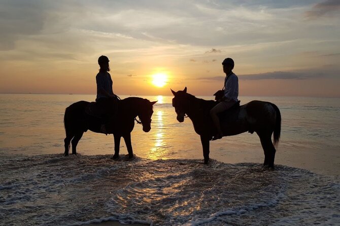 Beach Horse Riding At Sunset In Phuket - Participant Requirements