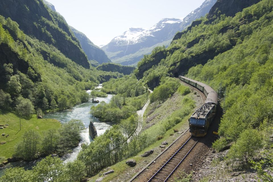 Bergen: Guided Full-Day Tour to Naeröyfjord and Flåm Railway - Customer Reviews and Recommendations