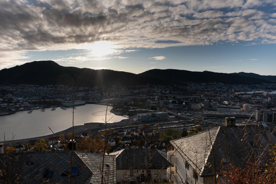 Bergen: Guided Minibus Tour With Photo Stops & Bryggen Tour - Common questions