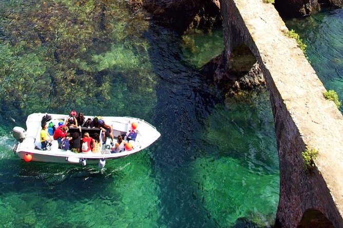 Berlenga Island Small-Group Day Trip From Lisbon - Visitor Testimonials