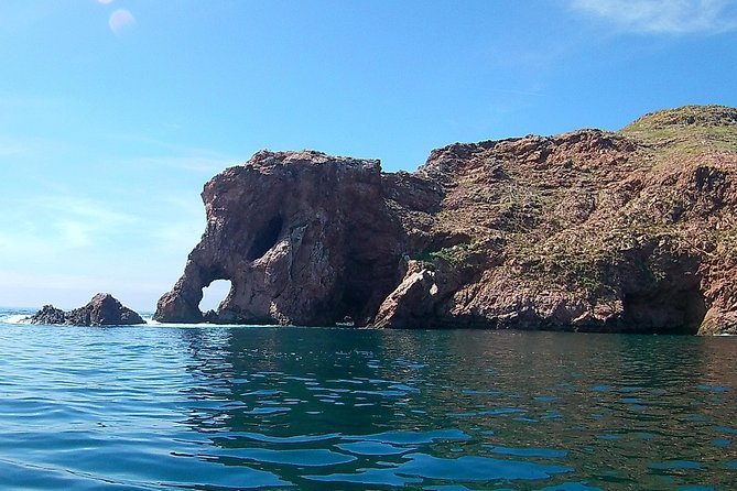 Berlengas Catamaran Tour - Common questions