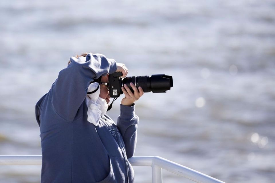 Berthier-sur-Mer: Razorbill Penguin Observation Cruise - Live Tour Guides Availability