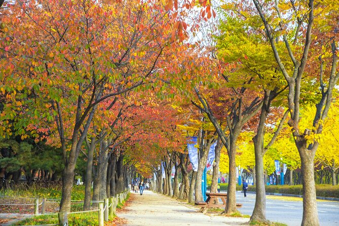 Best View Seoul Autumn Foliage Tour - Last Words