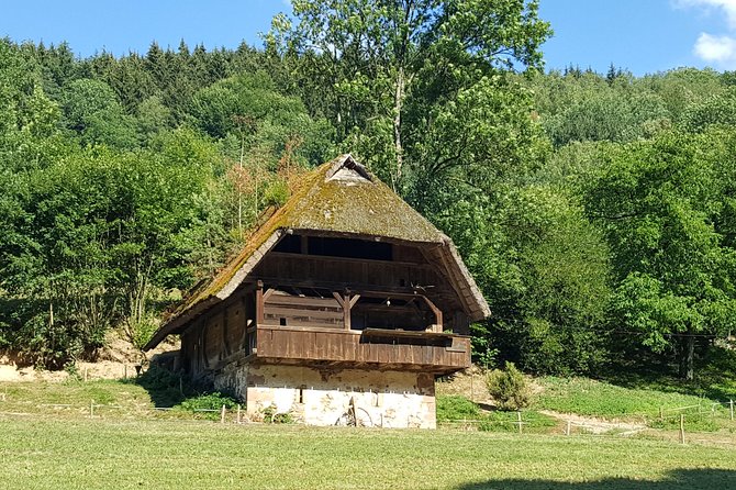 Black Forest Tour by Car: From Baden-Baden to Freiburg - Last Words