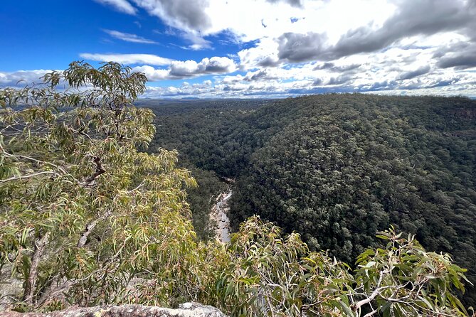 Blue Mountains Day Adventure, Featherdale Wildlife & River Cruise - Understand Viators Terms & Conditions