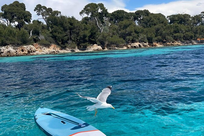 Boat Trip to the Lérins and Cannes Islands - Recommendations and Tips