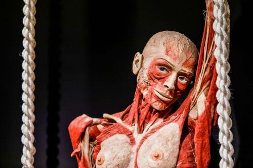 Body Worlds Amsterdam: The Happiness Project Ticket - Last Words