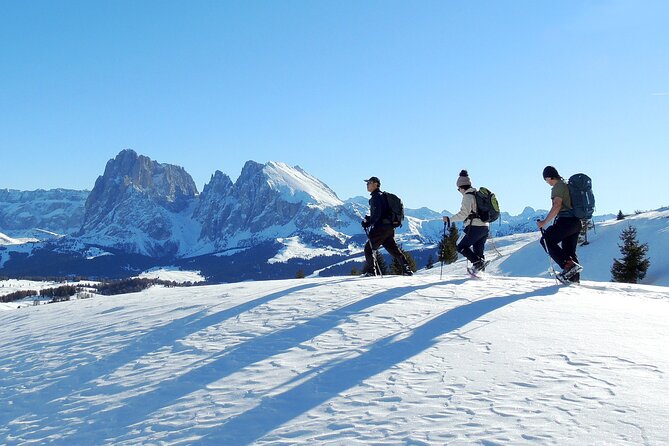 Bolzano Dolomites: Winter Hiking & Sledding Experience - Common questions