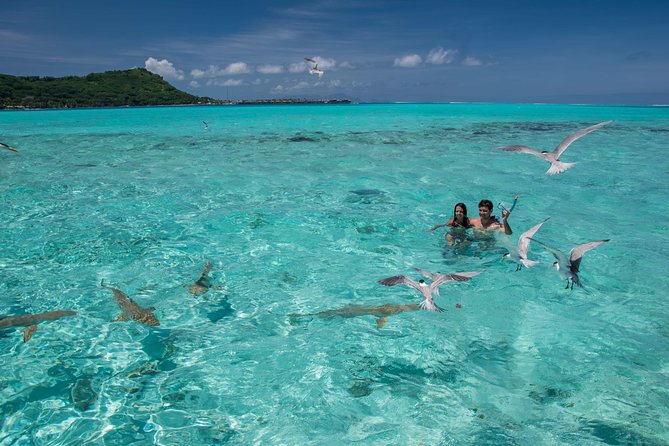 Bora Bora Private Boating Experience With Captain - Customer Reviews