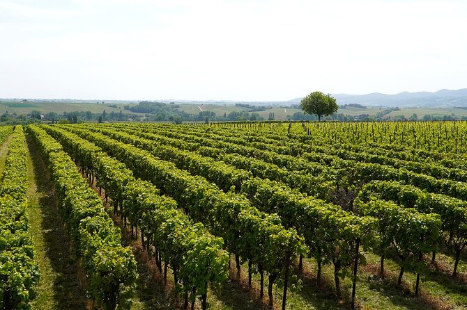 Brescia and Franciacorta Winery Area. Cultural and Wine Tasting Small Group Tour - Common questions